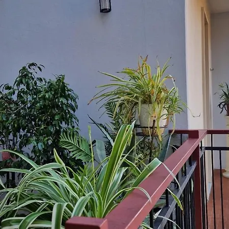 Appartement Maison Sofia *